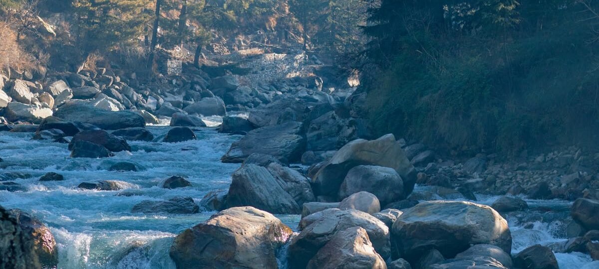 Beautiful river flowing through boulders and pine trees in Kasol, Himachal Pradesh, India.