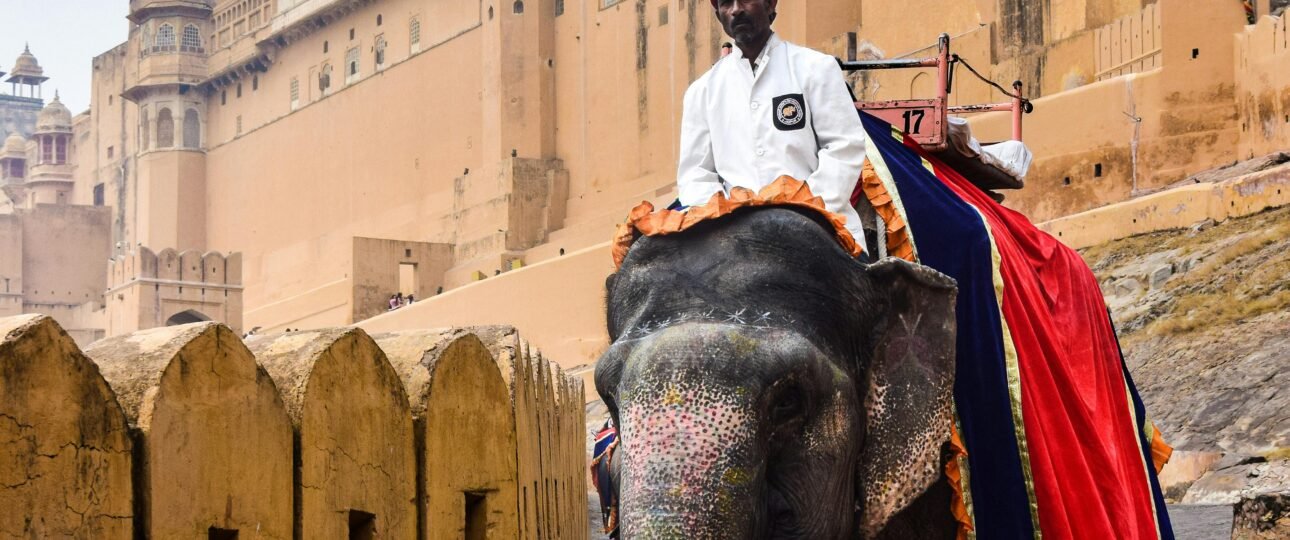 An Indian man riding an elephant near Amber Fort in Jaipur, showcasing vibrant cultural heritage.