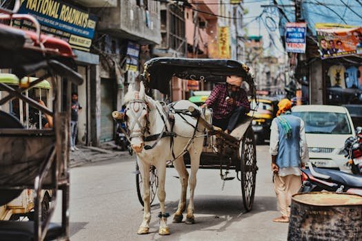 A bustling street in Amritsar with a horse-drawn carriage and urban life captured in full action.
